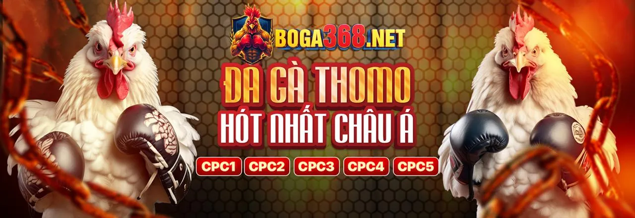 Đá gà kịch tính tại f1686s win